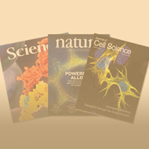 Academic Papers